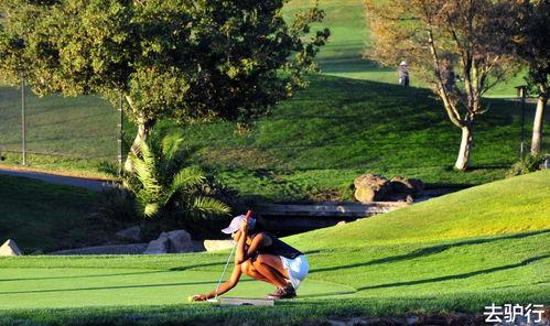 娱乐吃瓜酱50万,揭秘50万背后的娱乐风云