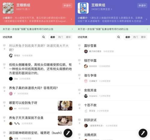 娱乐吃瓜聊天软件,揭秘明星幕后故事，带你畅游娱乐圈