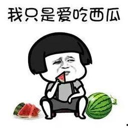 吃瓜娱乐人,网络时代的趣味观察与心灵感悟