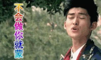 娱乐圈吃瓜小杨,小杨哥的瓜田传奇