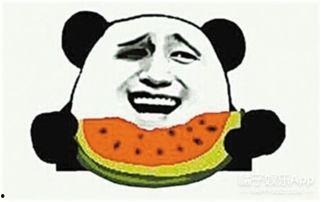 娱乐吃瓜蜀黍毛球,揭秘冷门男双组合的传奇历程与复仇之战