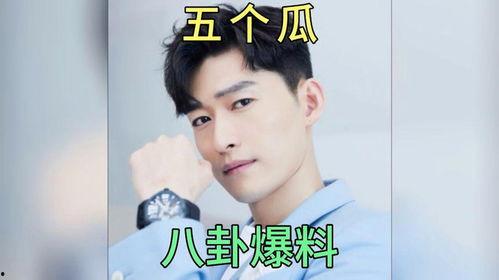 娱乐吃瓜 明星有哪些小说,明星小说背后的故事与揭秘