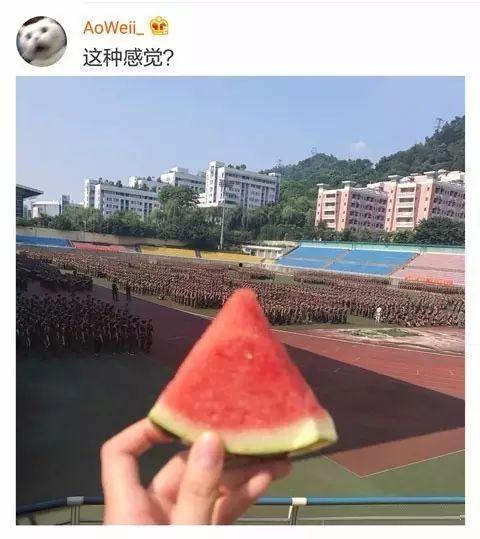 学姐吃瓜娱乐,校园八卦背后的娱乐与真相
