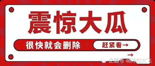 最新娱乐吃瓜汇总,明星秘闻大揭秘，精彩瞬间回顾