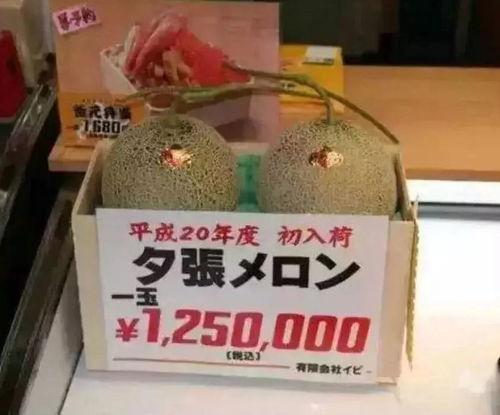 茫茫娱乐吃瓜,揭秘“吃瓜”背后的故事