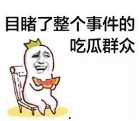娱乐唠嗑开心吃瓜的小说,开心吃瓜，揭秘娱乐圈幕后故事