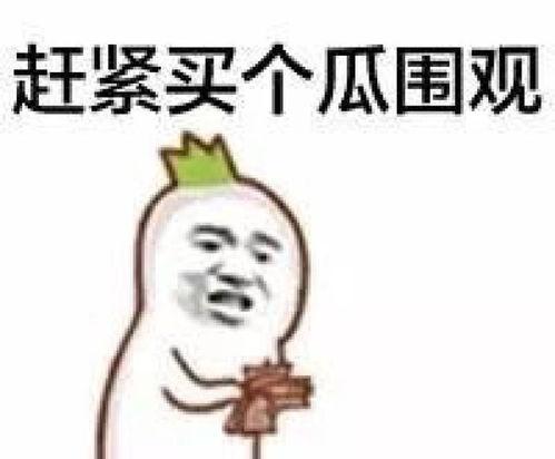 娱乐吃瓜酱东北老铁,娱乐吃瓜酱里的老铁魅力