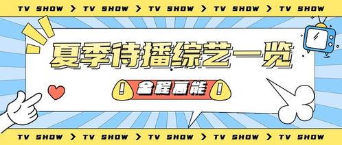 吃瓜营销号娱乐号是什么,娱乐八卦背后的网络营销奥秘